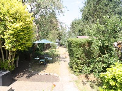 Picture 27